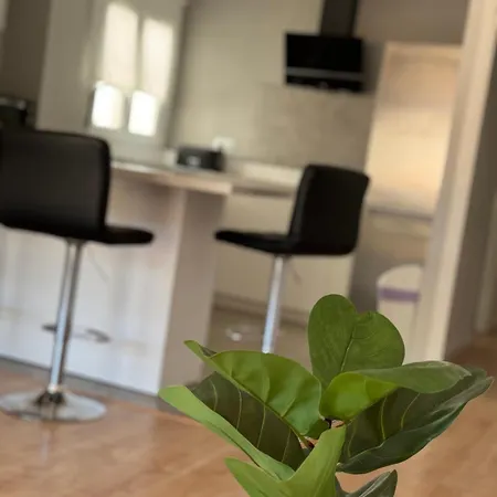 Homestay Matrimonio Reformado En El Centro Con Vistas Denia